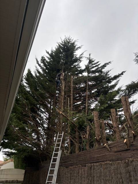 W5racQQsXSD_2cp0Tb5NUhaJlkB8_TM1ng