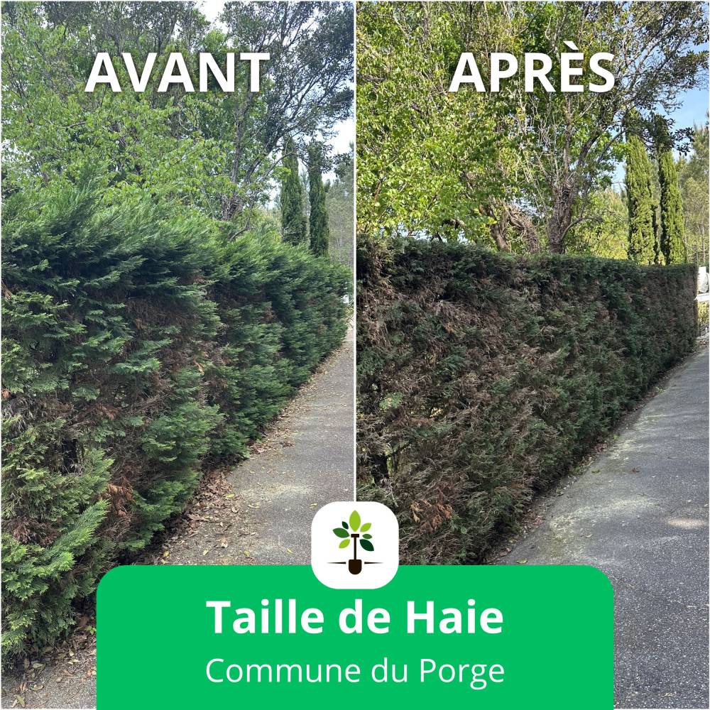 espace jardin tp le porge taille de haie