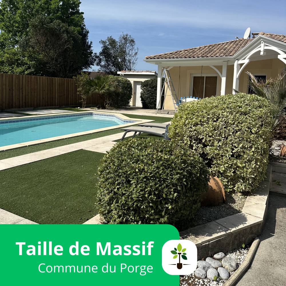 taille de massif le porge espace jardin tp1