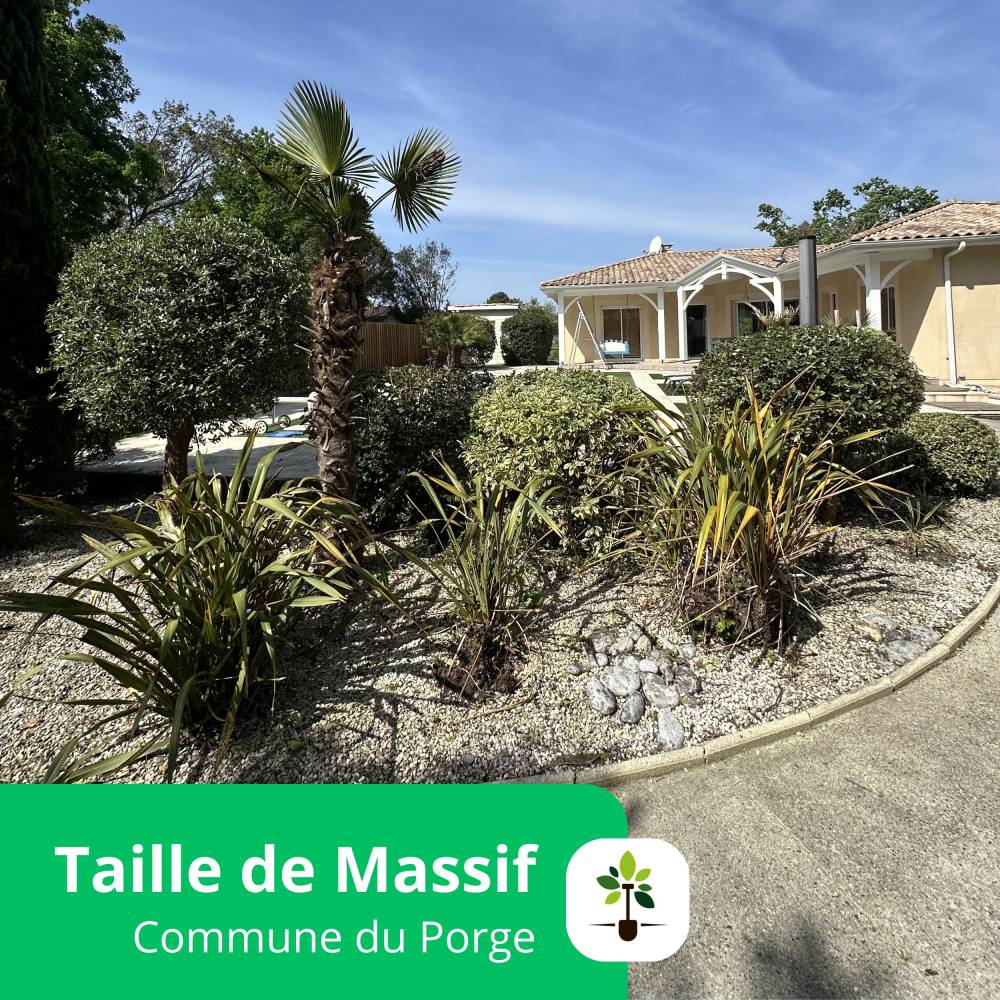 taille de massif le porge espace jardin tp2