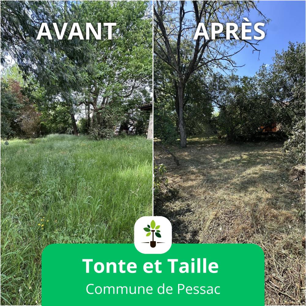 tonte taille evacuation tronc espace jardin tp 1