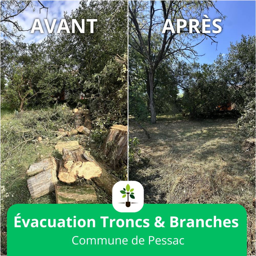 tonte taille evacuation tronc espace jardin tp 2
