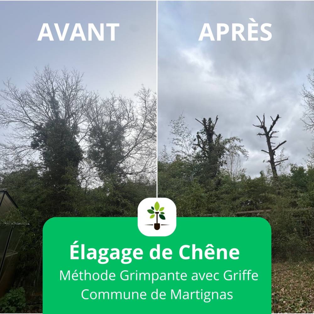 AVANT-APRÈS ÉLAGAGE MARTIGNAS - Grande