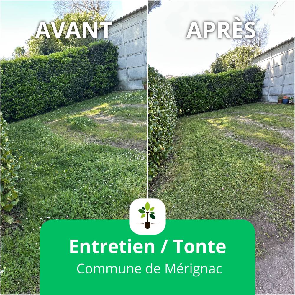 tonte merignac