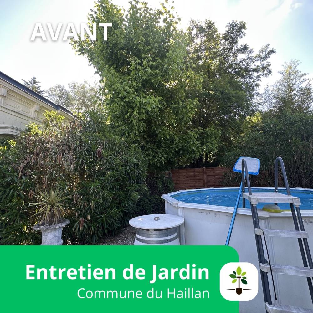 entretien jardin le haillan 1 - Grande