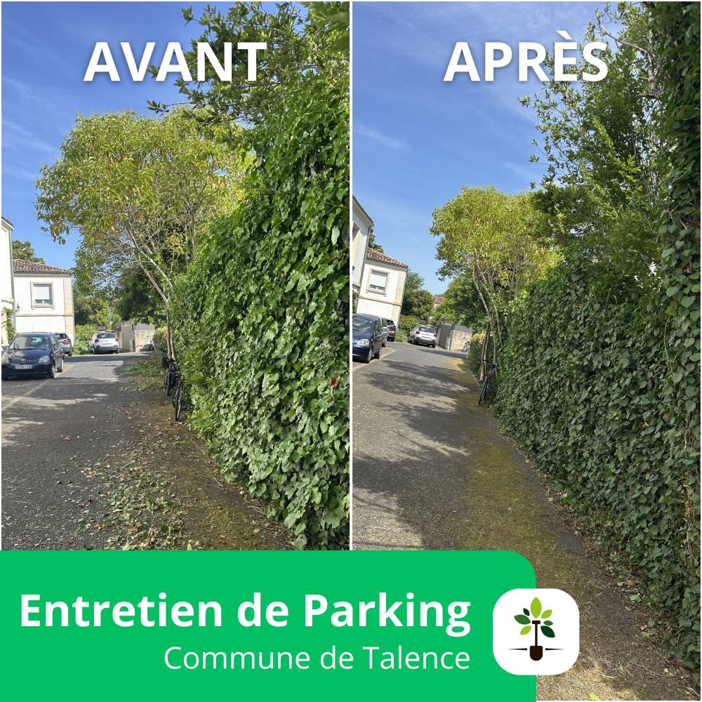 AVANT:APRES PARKING TALENCE 1