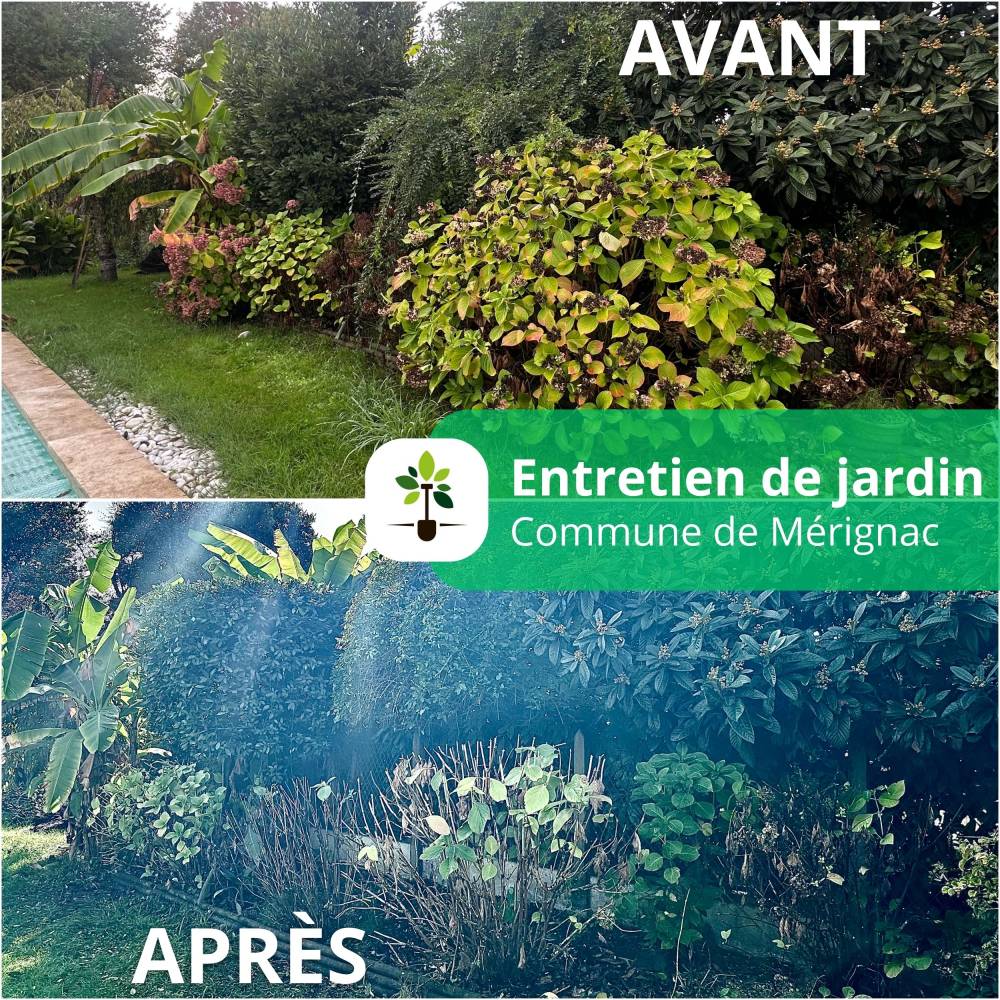 entretien de jardin merignac