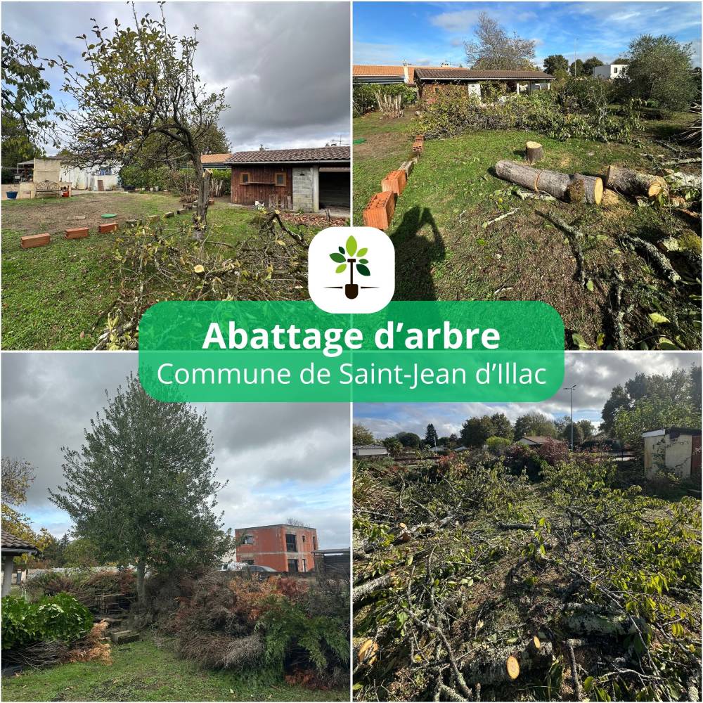 abattage arbre st jean d illac