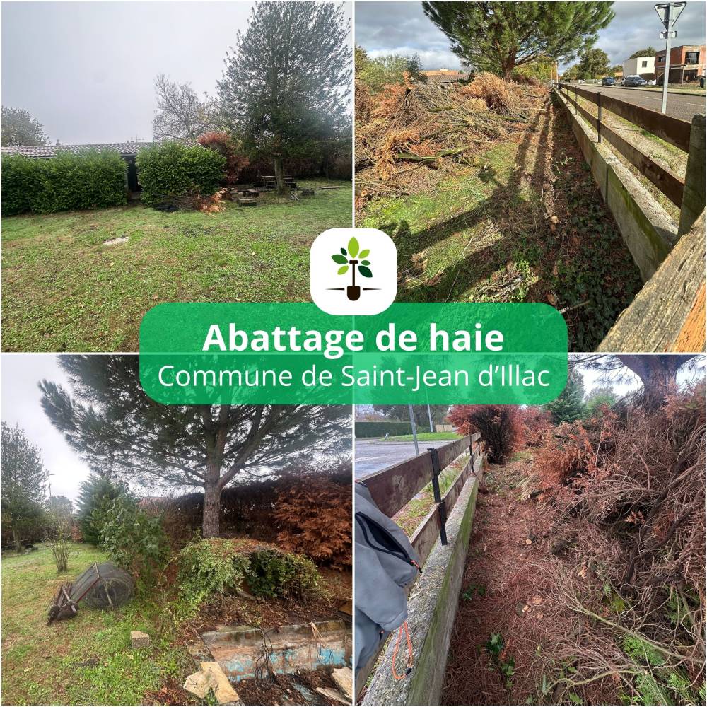 abattage haie st jean d illac